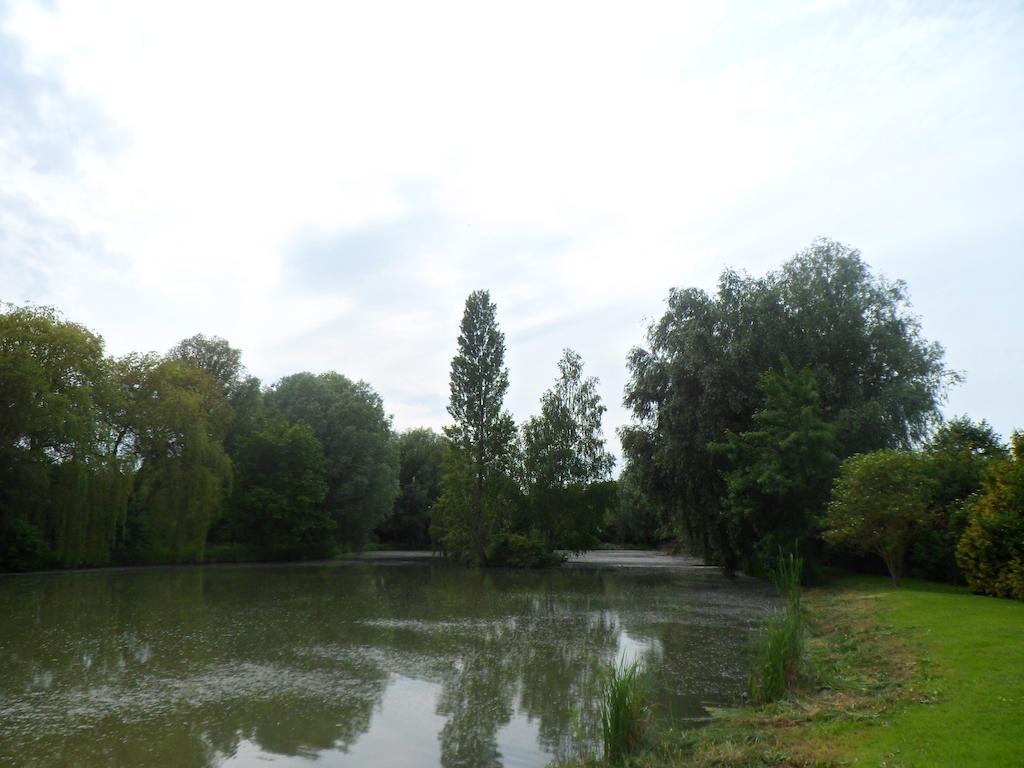 فندق Domaine De La Helliere Lailly-en-Val المظهر الخارجي الصورة