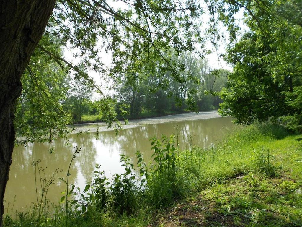 فندق Domaine De La Helliere Lailly-en-Val المظهر الخارجي الصورة